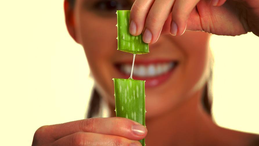 Te explicamos como eliminar el herpes labial con aloe vera