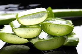 Aloe Vera calma herpes labial